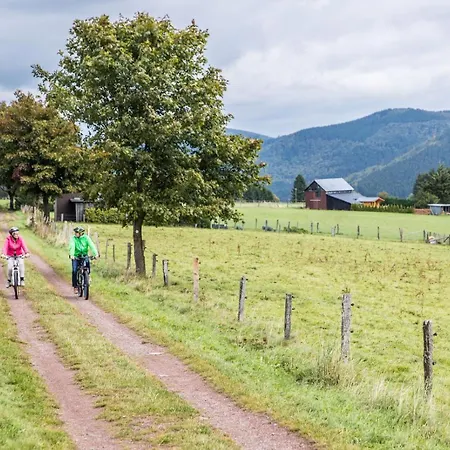 Welcome In - 'heideblick' Mit Terrasse Und In Der Naehe Der Skipisten * Winterberg