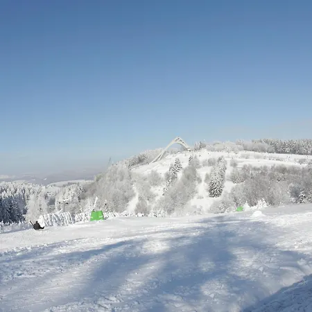 Welcome In - 'heideblick' Mit Terrasse Und In Der Naehe Der Skipisten Winterberg