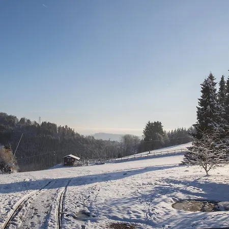 Welcome In - 'heideblick' Mit Terrasse Und In Der Naehe Der Skipisten Appartement