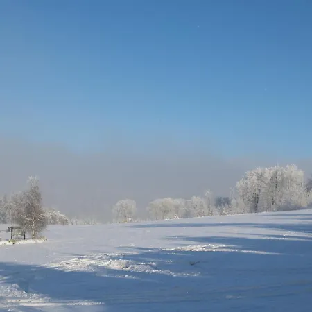 Welcome In - 'heideblick' Mit Terrasse Und In Der Naehe Der Skipisten * Winterberg