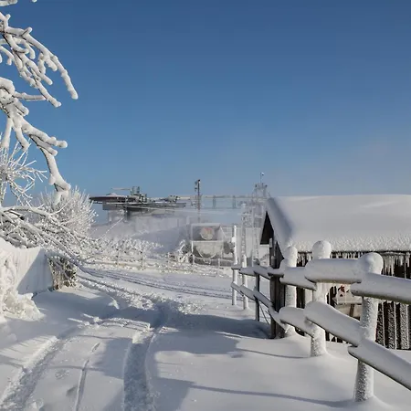 Welcome In - 'heideblick' Mit Terrasse Und In Der Naehe Der Skipisten